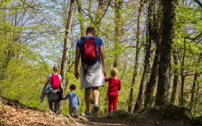 Tavaszi megújulás – stresszkezelés útján