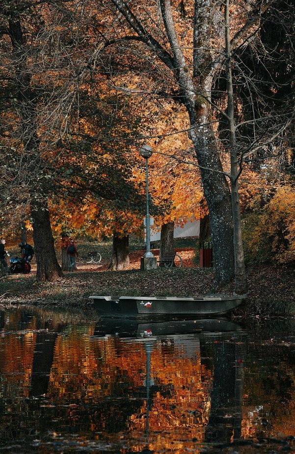 Mihez kezdjünk a gyökereinkkel? – Gondolatok a Magyar Kultúra Napján